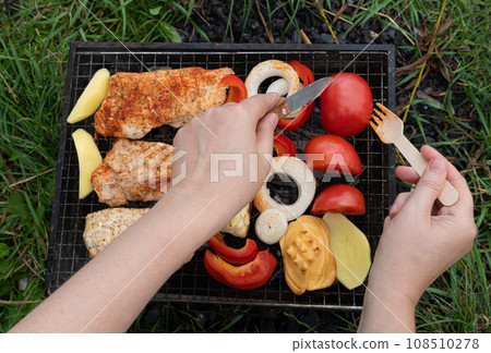 Small Grill, Barbecue, Bbq with Smoke, Mini Barbecue with Grilled Meat and Vegetables 108510278