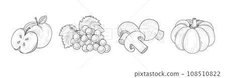 Sketch Garden Vegetable and Fresh Agricultural Crop Vector Set 108510822