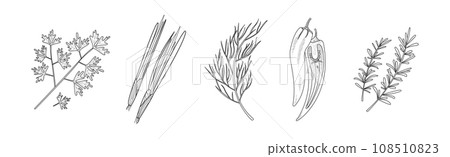 Sketch Garden Vegetable and Fresh Agricultural Crop Vector Set 108510823