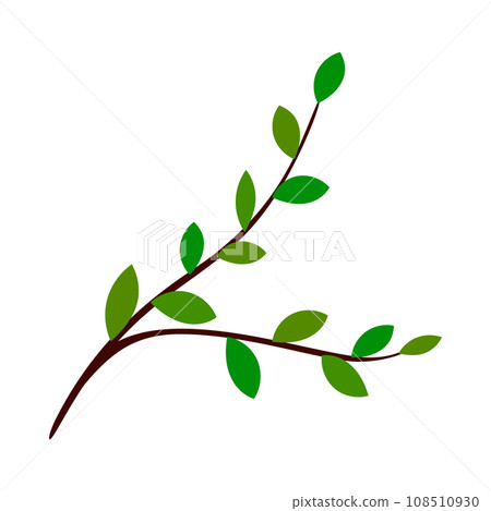 Branch Of Tree Branch Of Tree 108510930