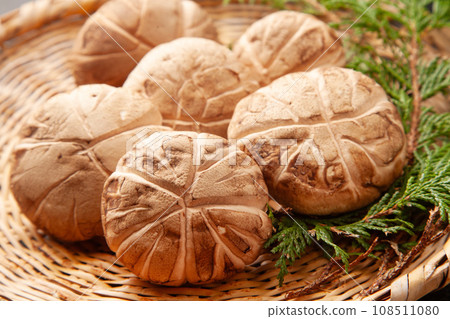 生香菇（donko） 108511080