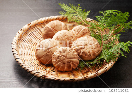 生香菇（donko） 108511081