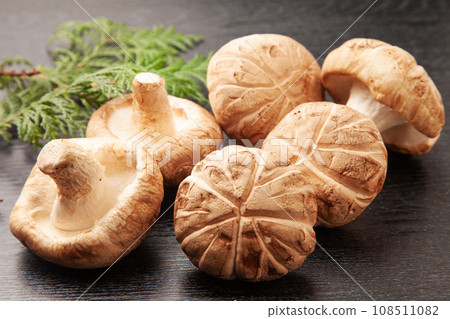 生香菇（donko） 108511082