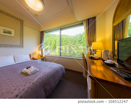 箱根的飯店客房可俯瞰大自然 / 日本箱根 箱根的飯店客房可俯瞰大自然 / 日本箱根 108512247