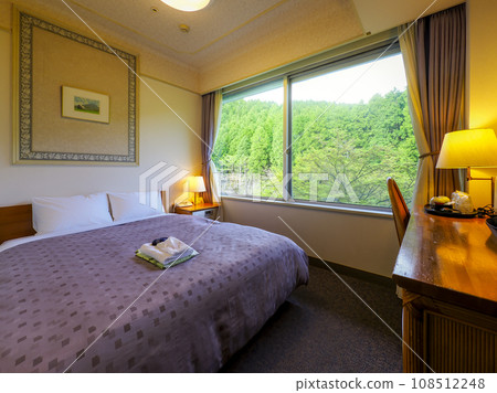 Hotel room overlooking nature in Hakone / Hakone, Japan 108512248