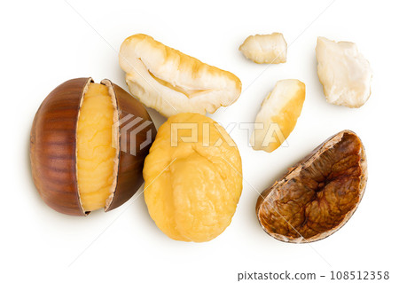 roasted peeled chestnut isolated on white background. Top view. Flat lay 108512358