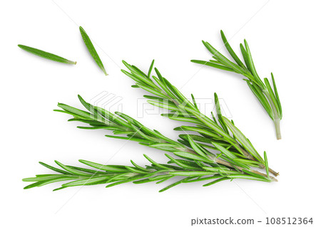 Rosemary twig and leaves isolated on white background. Top view. Flat lay Rosemary twig and leaves isolated on white background. Top view. Flat lay 108512364