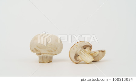 蘑菇 白蘑菇 108513054