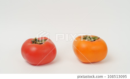 熟柿子和普通柿子的比較 108513095