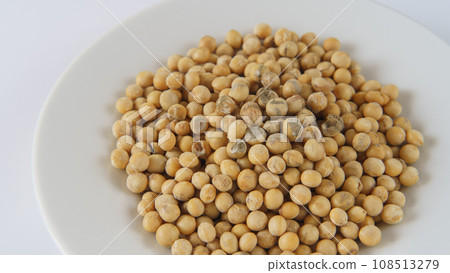Soybeans with mold 108513279