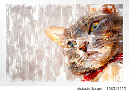 sketch style cat cat cat kijitora gray female female female cat female cat healthy pretty healing sketch style cat cat cat kijitora gray female female female cat female cat healthy pretty healing 108513335