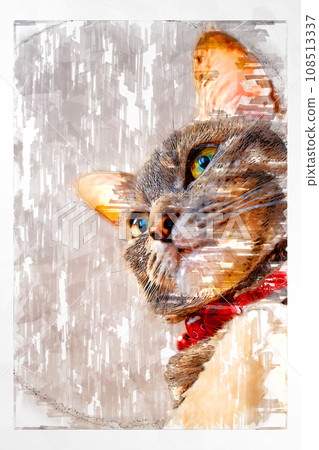 sketch style cat cat cat kijitora gray female female female cat female cat healthy pretty healing sketch style cat cat cat kijitora gray female female female cat female cat healthy pretty healing 108513337