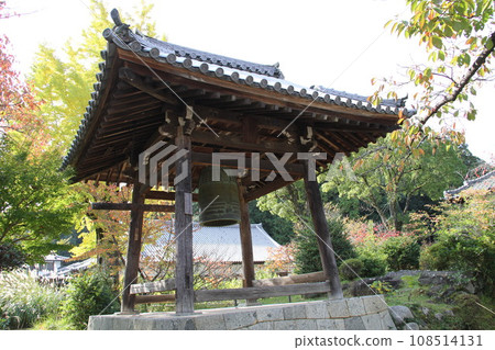 飛鳥村立花寺的參道被秋葉包裹著 108514131