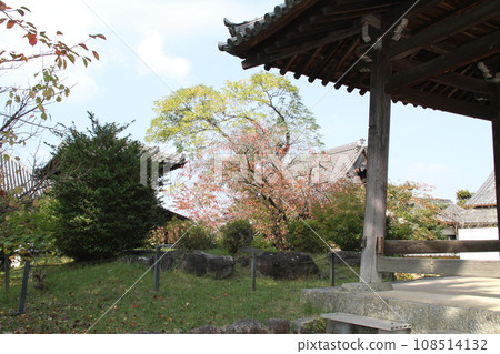飛鳥村立花寺的參道被秋葉包裹著 108514132