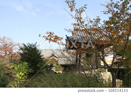 飛鳥村立花寺的參道被秋葉包裹著 108514133