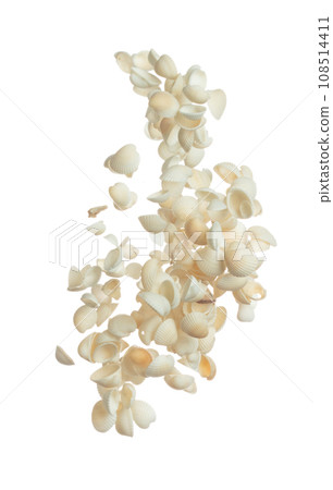 Seashell fall splashing in air. sea shell explosion flying, abstract cloud fly. Many Small white Seashell scatter in many group. White background isolated high speed shutter freeze motion 108514411