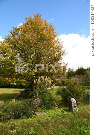 秋天的遠野故里村 108514424