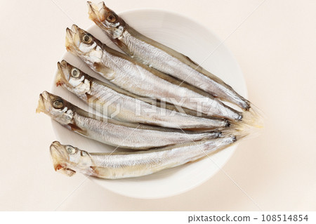 乾魚子什沙莫 108514854