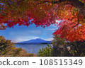 白雪皚皚的富士山和富士河口湖的秋葉 108515349