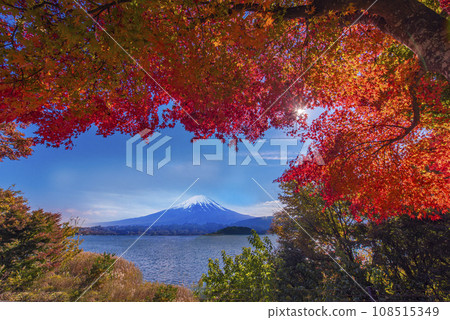 Snow-capped Mt. Fuji and autumn leaves from Fujikawaguchiko 108515349