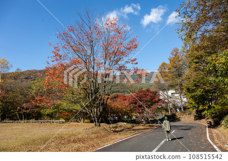 群馬縣前橋市秋天的赤城森林公園 群馬縣前橋市秋天的赤城森林公園 108515542