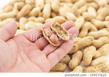 拿著花生的男性手 108515628