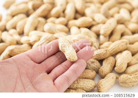 拿著花生的男人的手 108515629