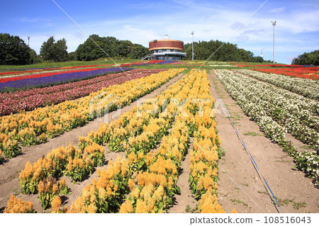 花園網走市 花園網走市 108516043