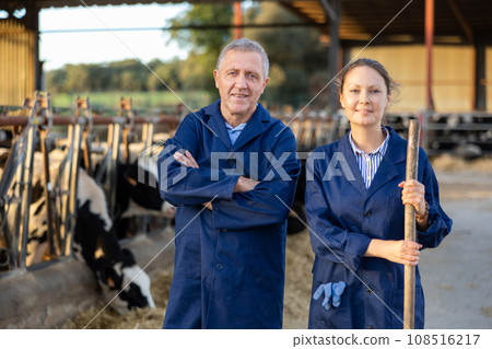 Aged farmer posing with adult daughter in cowshed at family farm 108516217