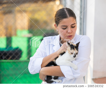 Female volunteer standing with tricolor cat in outdoor shelter Female volunteer standing with tricolor cat in outdoor shelter 108516332