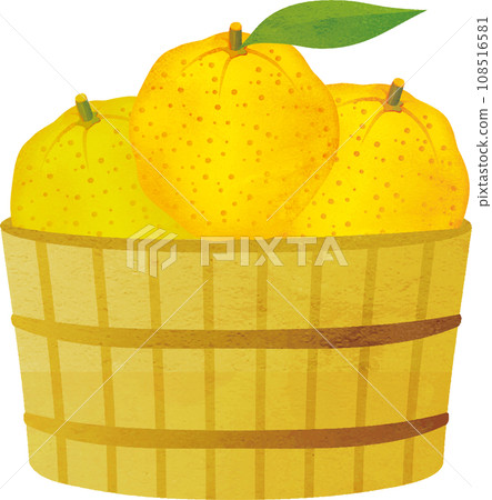 桶子裡的柚子水彩畫插畫素材 108516581