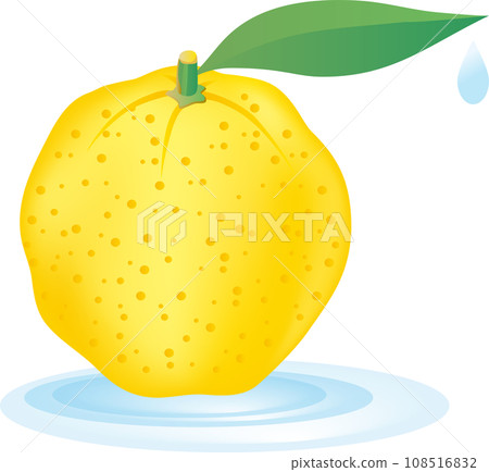 柚子簡單插畫素材 108516832