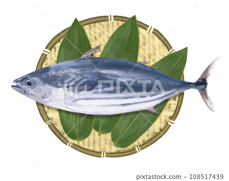 Bonito (with colander and bamboo leaves) Bonito (with colander and bamboo leaves) 108517439