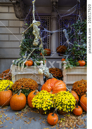 Colorful Pumpkins and Flowers on the Stairs of an Old Brownstone Home in New York City during Autumn 108517920