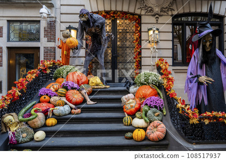 Colorful Pumpkins and Flowers on the Stairs of an Old Brownstone Home in New York City during Autumn Colorful Pumpkins and Flowers on the Stairs of an Old Brownstone Home in New York City during Autumn 108517937