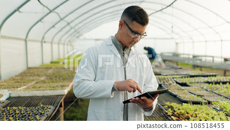 Scientist, farming and tablet for greenhouse plants, agriculture inspection and quality assurance or check growth. Science expert, man or farmer with food security or vegetables data on digital tech 108518455