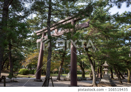 Izumo Taisha Matsunamiki Izumo Taisha Matsunamiki 108519435
