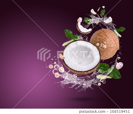 Water splash on Spices and herbs in cooking include coconut, lemongrass, garlic, kaffir lime leaves isolated on purple background Water splash on Spices and herbs in cooking include coconut, lemongrass, garlic, kaffir lime leaves isolated on purple background 108519451