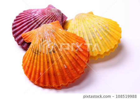 Hiougi shellfish 02 Hiougi shellfish 02 108519988