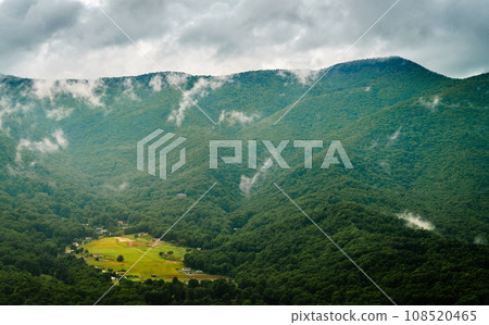 Clearance in the forest 108520465