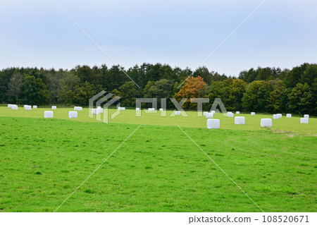 卷草捆青貯 108520671