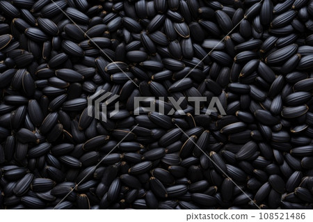 Black sunflower seeds Black sunflower seeds 108521486