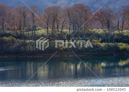 Lake Sugawa in late autumn, Akita Prefecture 108522045