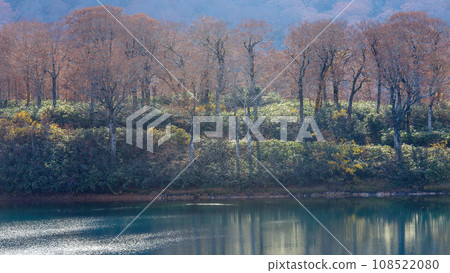Beautiful late autumn Lake Sugawa, Akita Prefecture Beautiful late autumn Lake Sugawa, Akita Prefecture 108522080