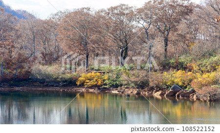 Beautiful late autumn Lake Sugawa, Akita Prefecture 108522152