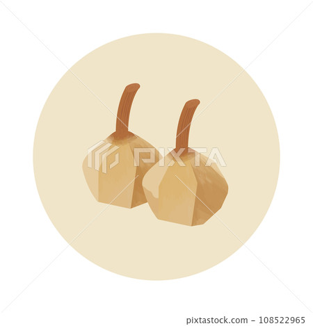 New Year's card Japanese food Osechi illustration 108522965