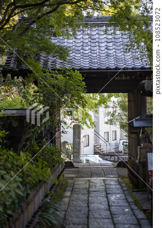Kamakura November Ankokuronji Temple 9 Kamakura November Ankokuronji Temple 9 108523072