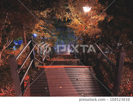small bridge with autumn leaves 108523638