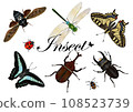 Japanese insects 108523739