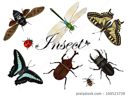 Japanese insects 108523739